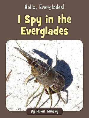 cover image of I Spy in the Everglades